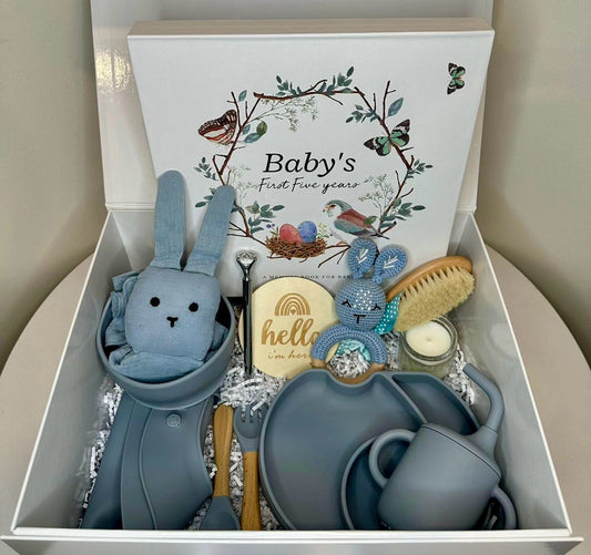 The Little Prince Baby Gift Basket